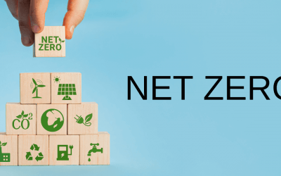 Net Zero