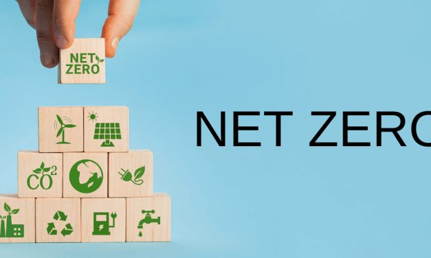 Net Zero